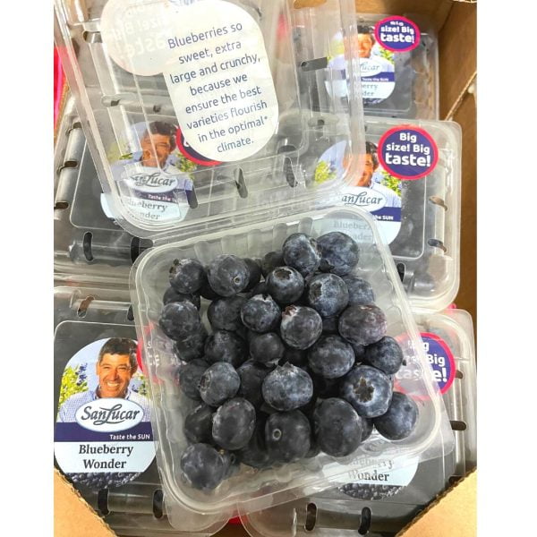 Exploring the Nutritional Benefits of Jumbo Blueberries in